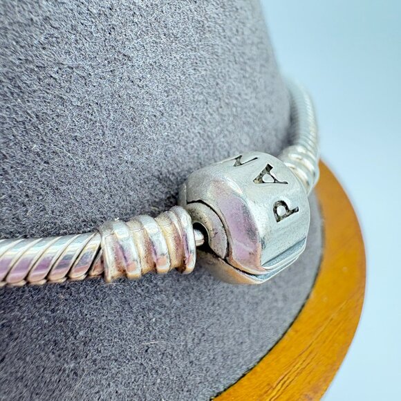 VTG Pandora ALE Serpentine Link Slide Charm Chain Bracelet Size 9" Length - Picture 5 of 12